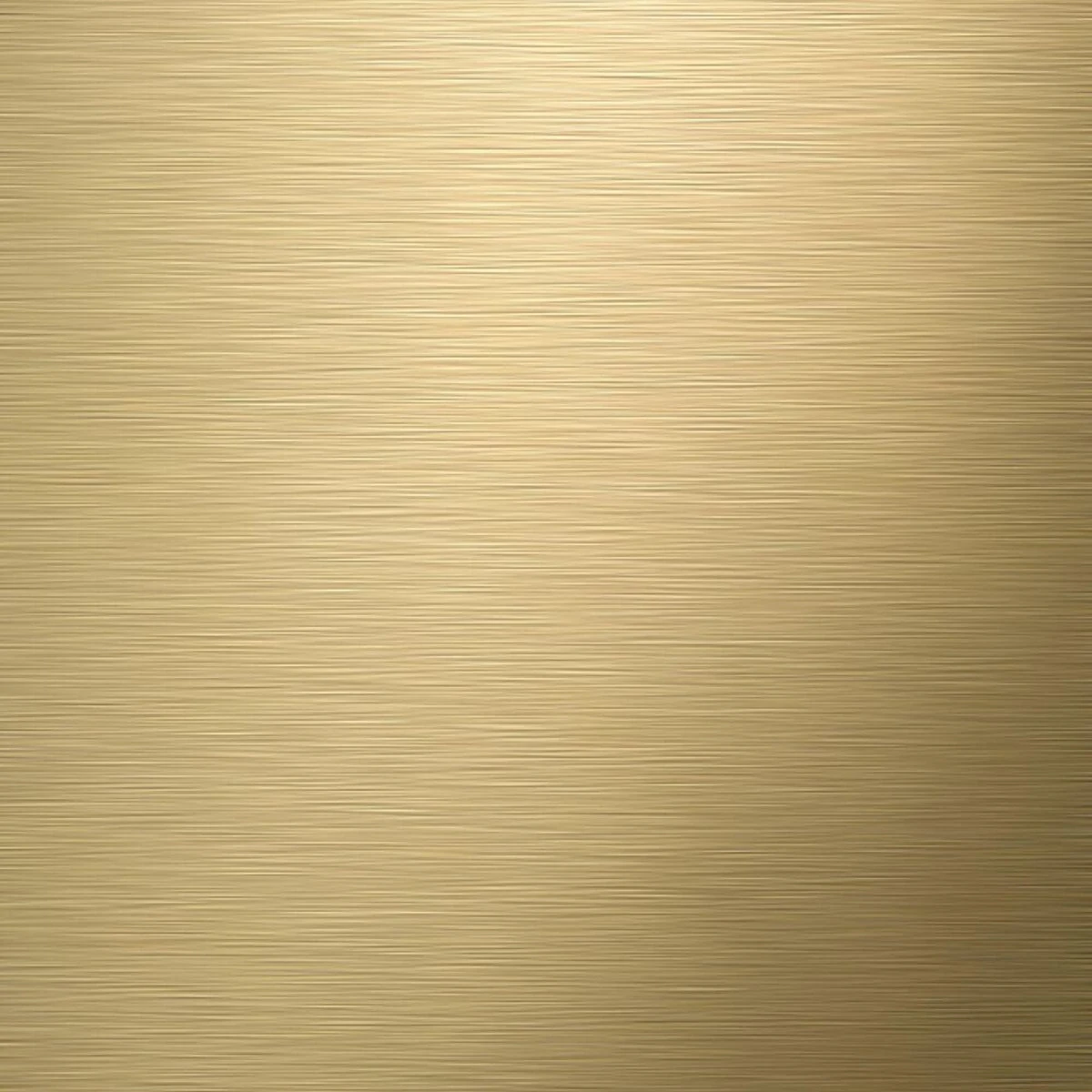 Tiger Tune - Toiletrolhouder Met Klep - Messing Geborsteld / Zwart - Afbeelding 10