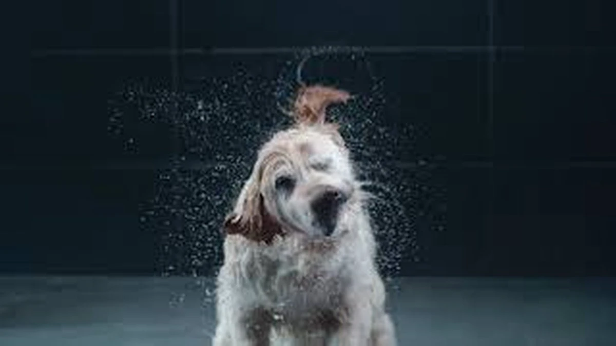 GROHE Euphoria SmartControl 310 Regendouche - CoolTouch - FastFixation - ø 31 Cm - Chroom - Afbeelding 16