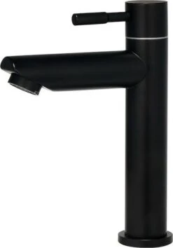 Merkloos Toiletkraan Kolding (Zwart) - Alleen Koud Water - Design - 201217Z