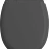 Allibert Wc-bril ATLAS - Geperst Hout - Afklikbaar - Met Regelplaat - Anthraciet Grijs Gelakt